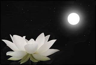 How Will the Full Flower Moon Inspire You? - Moonlight Muse Media