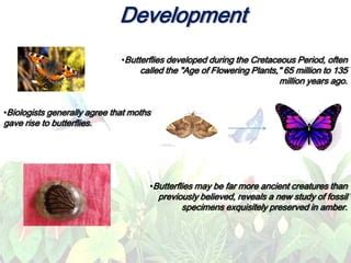 Butterfly Project Ppt