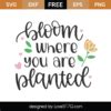 Free Bloom Where You Are Planted SVG Cut File Lovesvg