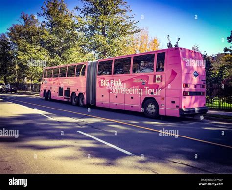 Pink Tandem Bus Stock Photo Alamy