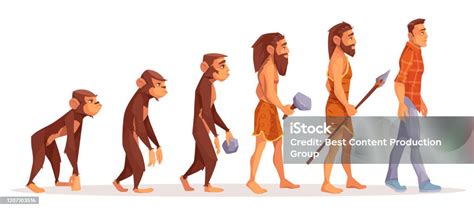 Ilustración De La Evolución Humana Escenifica El Concepto De Vector De