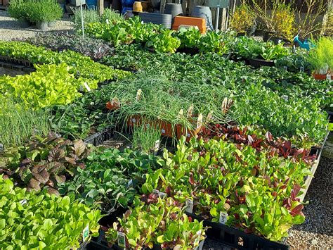 Experience the Full Potential of Stonington Gis 4