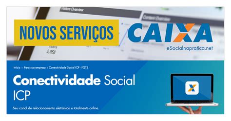 Conectividade Social Empregador Novos Servi Os