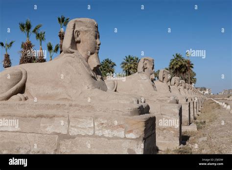 Avenue Of Sphinx Luxor Temple Luxor City Egypt Stock Photo Alamy