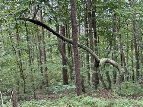 Teasley Elementary added a new photo... - Teasley Elementary