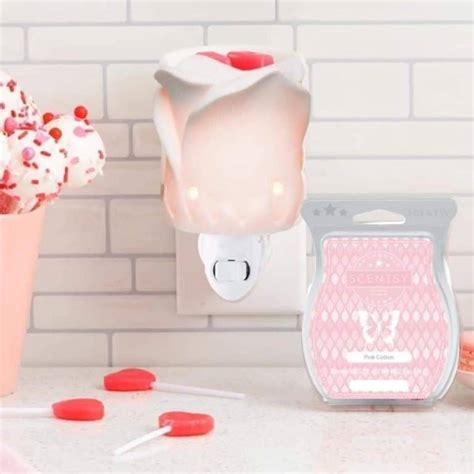 Suc Cute Lent Scentsy Warmer The Candle Boutique Scentsy Uk Consultant