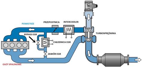 Do czego służy zawór EGR co się w nim psuje i czy warto go wyeliminować