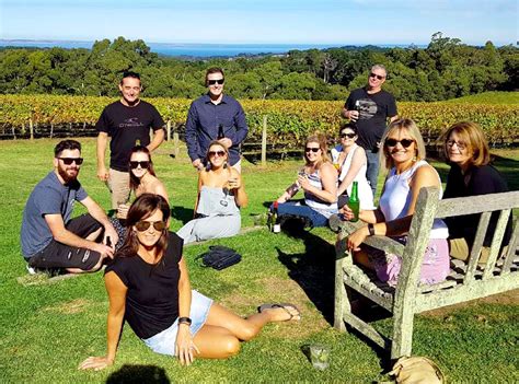 Ultimate Guide To Wine Tour Mornington Chauffeurcarmelbourne