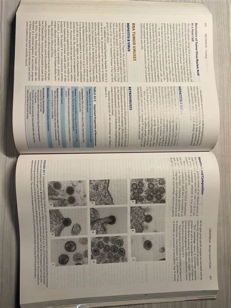 Medical Microbiology Lange 27th Ed Hobbies And Toys Books And Magazines