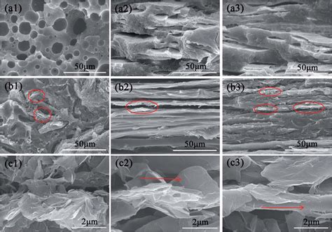 SEM Graphs Of Fracture Surfaces Of PP PMMA Blend And PP PMMA Graphene