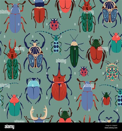 Invertebrate Beetles Stock Vector Images Alamy