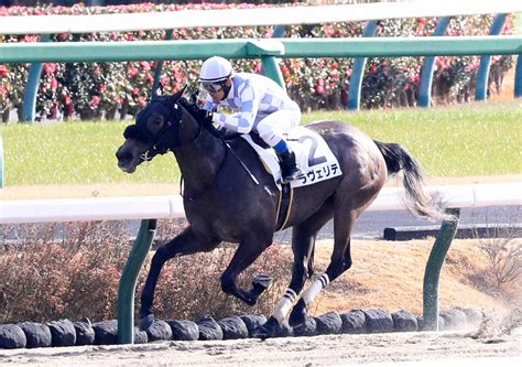 【中山6r新馬】ラヴェリテ逃げ切り 浜中「初戦としてはいい内容」 スポニチ競馬web