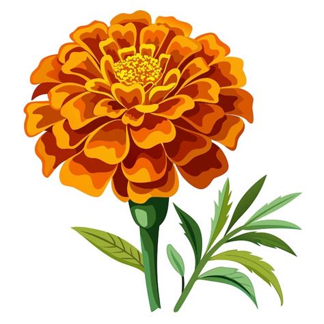 Marigold Flower Clipart Cartoon Style Vector Illustration Premium Ai Generated Vector