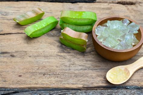 How To Harvest And Use Aloe Vera Plantura