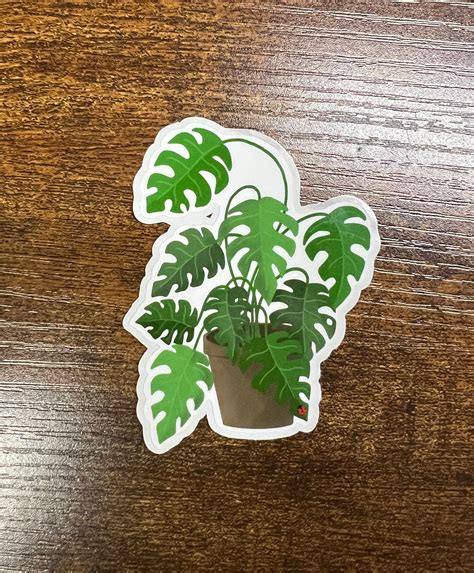 Monstera Plant Sticker Monstera Sticker Monstera Monstera Plant