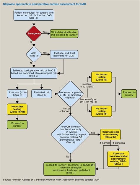 Preoperative Assessment Of The Orthopaedic Patient Anaesthesia