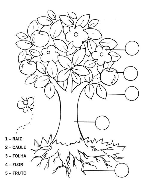 Desenhos De Rvore Para Colorir Atividades Educativas