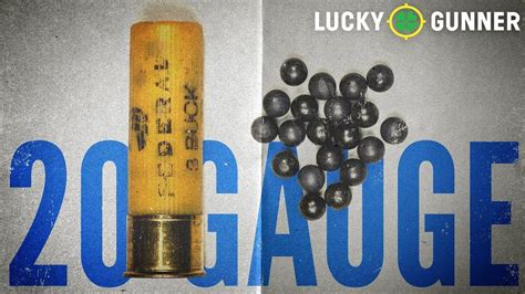 20 Gauge 00 Buckshot For Home Defense Homemade Ftempo