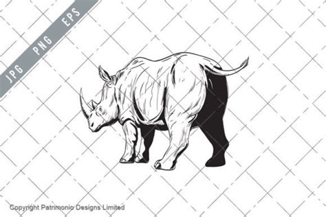 Rhinoceros Charging Low Angle Drawing Graphic By Patrimonio · Creative