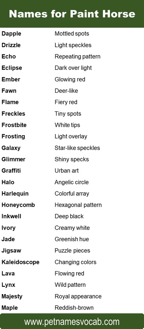 Best Paint Horse Names - Pet Names Vocab