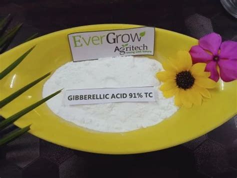 White Powder Gibberellic Acid 91% TC, Drum, 25 kg at Rs 12000/kg in ...
