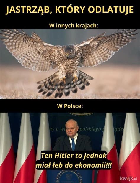 Jaszczomp Ministerstwo śmiesznych obrazków KWEJK pl