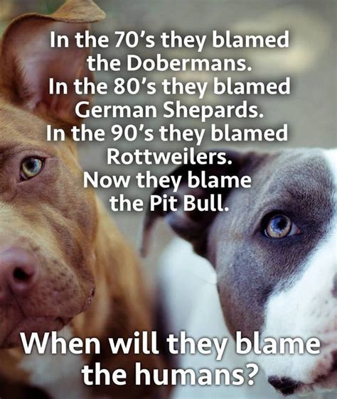 Pitbull Dog Breed Quotes