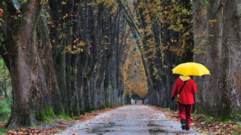 Prognoza Pogody Na Dzi Coraz Zimniej I Deszcz