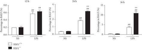 HSF1 Reduced Macrophage Infiltration Into The Lung Tissue From