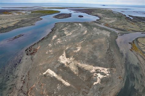 Sagavanirktok River, Beaufort Sea - CoastView