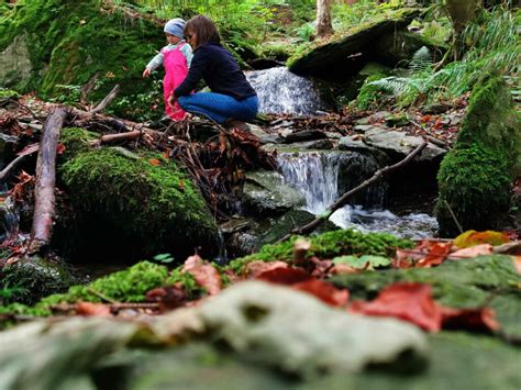 Schwarzatal Wandern Katzenstein Aussicht Wanderung Thueringen