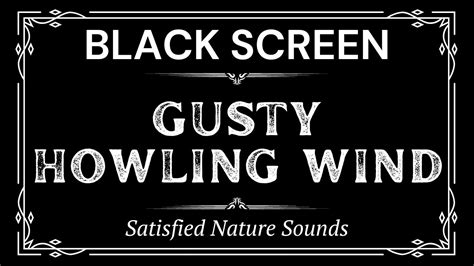 Gusty Howling Wind Sounds Hours Satisfied Nature Sounds Black