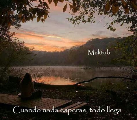 Maktub Dichos Y Frases Frases Bonitas De Reflexion Palabras De