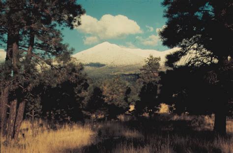 Coconino National Forest Arizona Memory Project