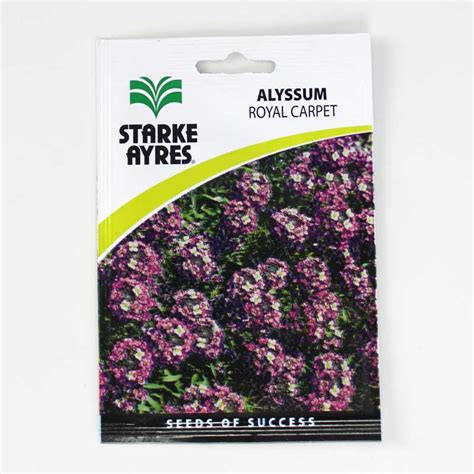 Starke Ayres Seeds Royal Carpet