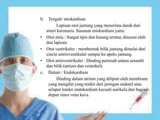 ANATOMI FISIOLOGI JANTUNG | PPT