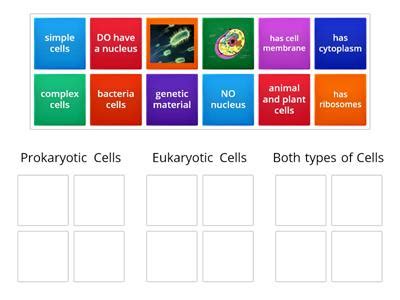 Prokaryotes Vs Eukaryotes Diagrams Teaching Resources