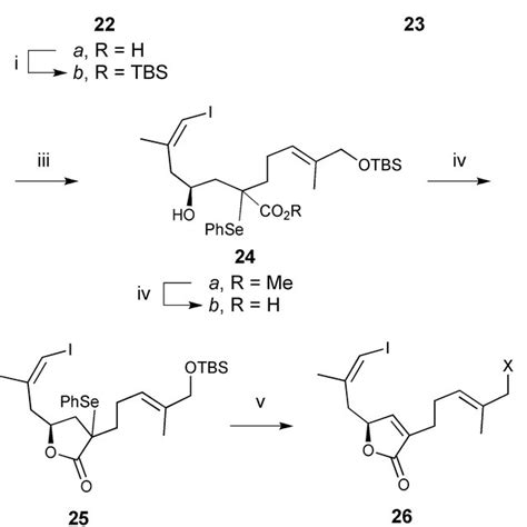 Scheme 5 Reagents And Conditions I Pd PPh 3 4 CuI CsF DMF