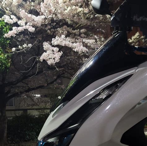 Poohさんの投稿した愛車情報pcx 近所で、、、🌸夜桜🌸 今夜は暖かくて夜｜バイクのカスタムツーリング情報ならモトクル