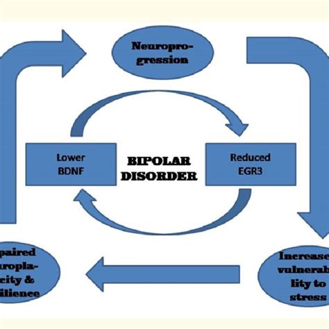 Pdf Review Article Bipolar Disorder Diagnosis Pathophysiology And