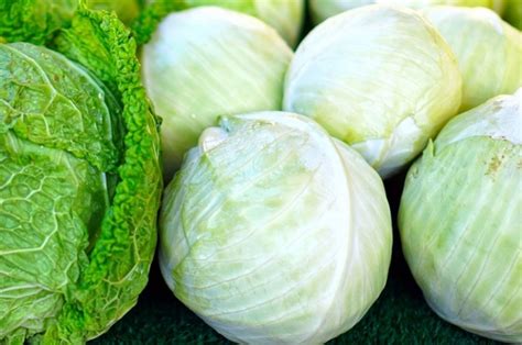 В Україні подорожала капуста – AgroNews