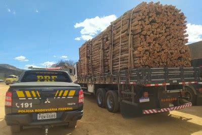 Prf Apreende M De Madeira Irregular Em Salgueiro Pol Cia