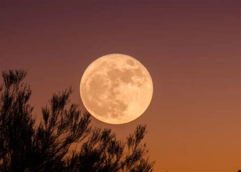 Superluna azul de agosto cómo no perderse este raro fenómeno