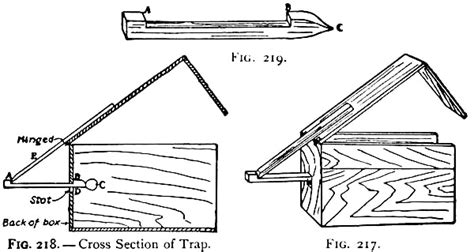 Squirrel Trapping - How to Build a Squirrel Trap | DIY Projects