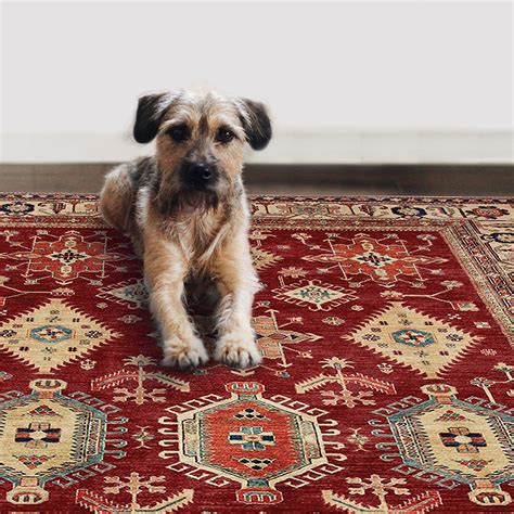 Ruggable Washable Rug » Petagadget