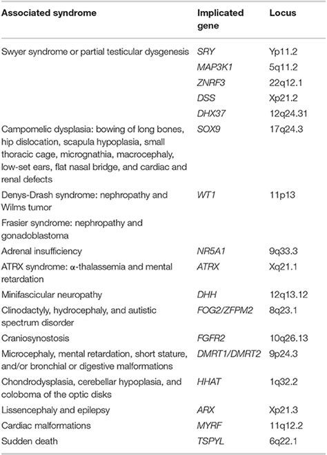 Frontiers Male Hypogonadism And Disorders Of Sex Development