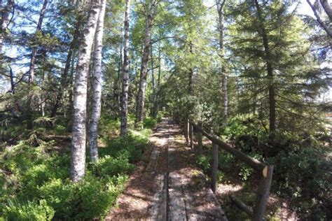 Mühlenweg Ottenhöfen Ein wunderschöner Wanderweg im Schwarzwald