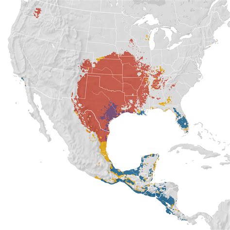 Scissor Tailed Flycatcher Range Map Ebird Status And Trends