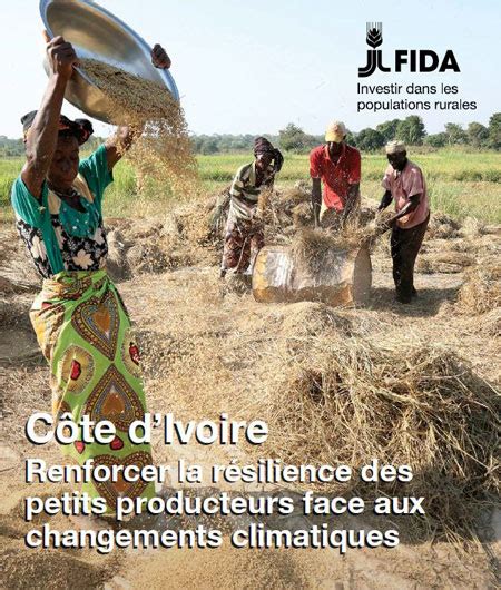 C Te Divoire Renforcer La R Silience Des Petits Producteurs Face Aux