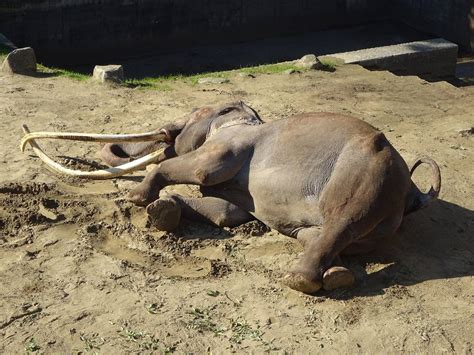 続・砂の話こぼれ話｜ブログ金沢動物園公式サイト｜公益財団法人 横浜市緑の協会